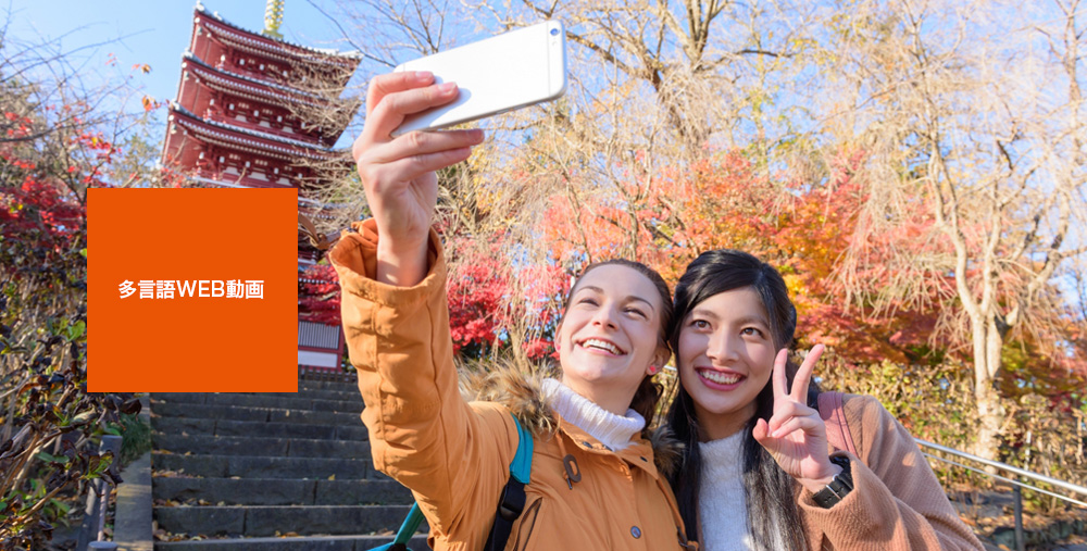 多言語WEB動画