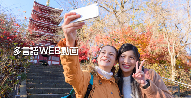 多言語WEB動画